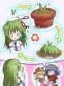 sanae is a (plant!)