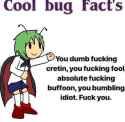 Cool bug Fact&#039;s