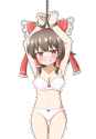 __hakurei_reimu_touhou_drawn_by_zenji029__56a47e3a488eb2335d86a6ba41dfd7bd