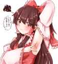 reimu01