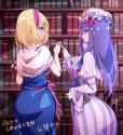 __alice_margatroid_and_patchouli_knowledge_touhou_drawn_by_raptor7__sample-bddad5c9f28ddfb87dfdaa661724dca6