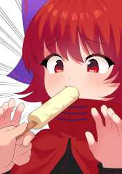 punidayo_Sekibanki