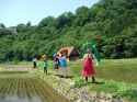 Higurashi(real)