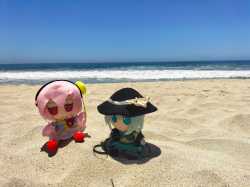 Beach summer fun