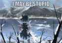 I may be stupid