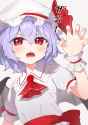 __remilia_scarlet_touhou_drawn_by_kanpa_campagne_9__221191560e66fefe5a673697885ca46b