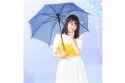 ikuchan iron dome