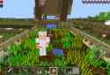 YAC seed