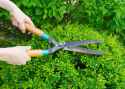 hedge-cutting-shears