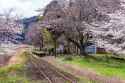 20250325_0406_chari25_bousou_miura_0839