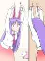 reisen ears2