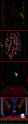 darkthrone