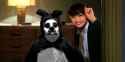 the shining panda