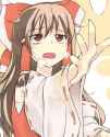 __hakurei_reimu_touhou_drawn_by_hakutaku_gohan__sample-1d49efc4b2396f21c309f9a8c119efb4