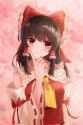 __hakurei_reimu_touhou_drawn_by_taguno__sample-87f7884ca43508c1473f69c69d3237a7