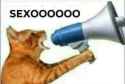 SEXOOOOOO