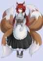 maid_lines