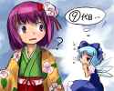 __cirno_and_hieda_no_akyuu_touhou_drawn_by_hirosato__c68b6c6151b30d31bbea05b9e611f1df