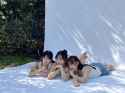 GuavRQRbwAA4X16