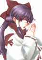 __hakurei_reimu_touhou_drawn_by_kuronuko_neero__6aab02114cf04411da447d6e246e439e