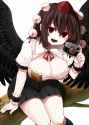 shameimaru_aya (alternative_facts_in_eastern_utopia touhou) drawn by zetsumame - 88c972705db08ef6d4f599a2d05fce10