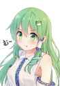 __kochiya_sanae_touhou_drawn_by_yaruwashi__sample-fc159d26e978aeb1c2ed34a46a545611