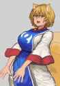 __yakumo_ran_touhou_drawn_by_chanta_ayatakaoisii__306a88c7e619050eb8ebbb2c84d10ec1