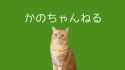 kanos pussy