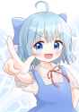 __cirno_touhou_drawn_by_toriki_fukuro__56aee245afd800ee98e032830f4081e9