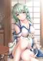 sanaecats