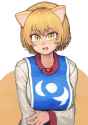 __yakumo_ran_touhou_drawn_by_chanta_ayatakaoisii__sample-ce7ec9fdc5fd0fb670c8066b3de0b01a
