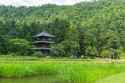 20230720_0801_chari020_minami_touhoku_1269