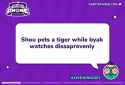 shou pets a tiger