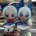 images (1) (5)