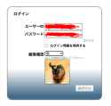 53 KB