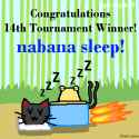 14th tournament pic for Nabana.png