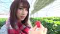 Shunka strawberry.webm