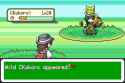 83 KB