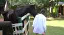 3.92 MB