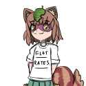 411 KB