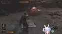 1009 KB