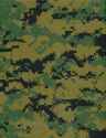 1200px-Marpat1