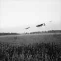 D-day_-_British_Forces_during_the_Invasion_of_Normandy_6_June_1944_B5198