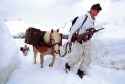 austrian horses snow goggles