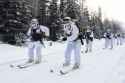 Skijoring exercise at Joint Base Elmendorf-Richardson, Alaska