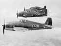 Hellcats_1840_NAS_in_flight_1944