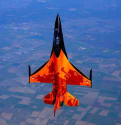 RNLAF Dutch Lion