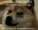 doge_feelings