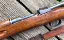 Swede_M96_06-05-2023_serial