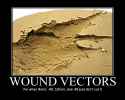 WoundVectors